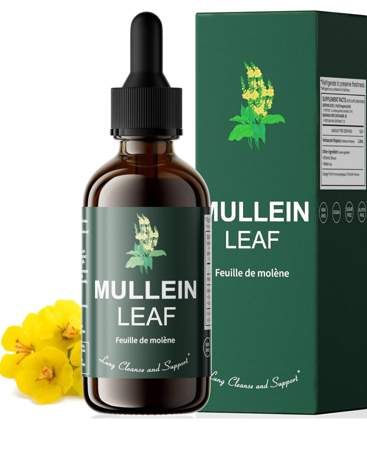 INDOPUT MULLEIN LEAF