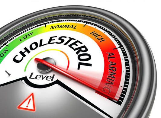 WHAT IS HIGH CHOLESTEROL?