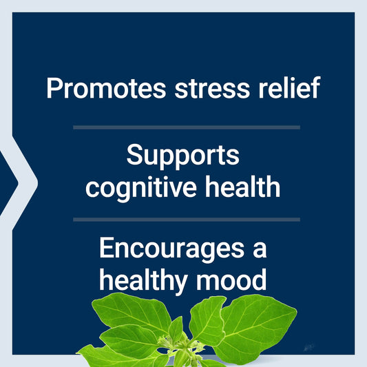 Life Extension Two-Per-Day 120 Tablet Multi-Vitamin & 60 Capsule Optimized Ashwagandha Stress Relief Supplement Bundle
