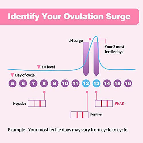 Ovulation Test Strips, Fertility Test Ovulation Predictor Kit with Free Urine Cup for Women Natural Cycles, 50 LH Strips (50)