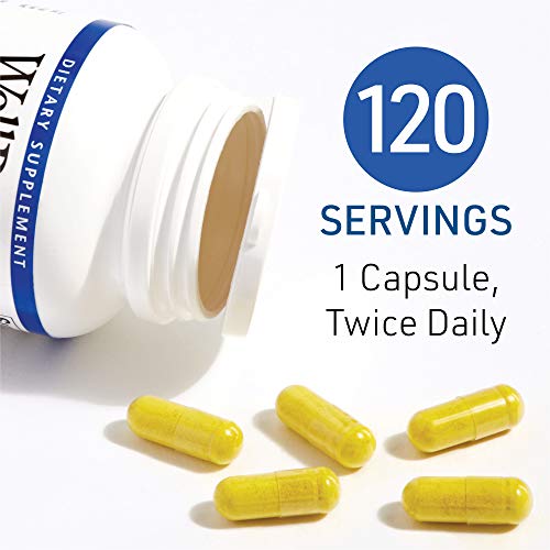 Natural Factors - WellBetX Berberine 500 mg, 120 capsules