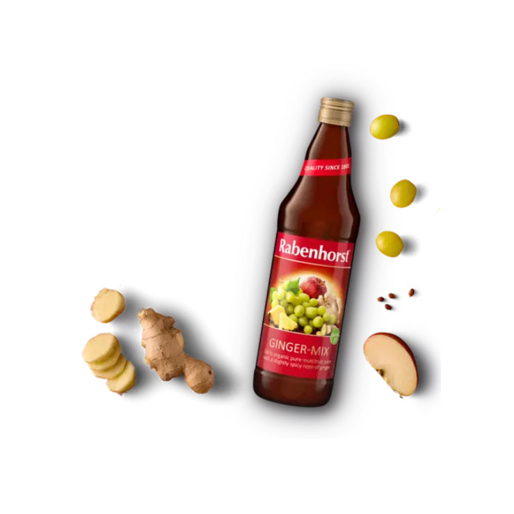 RABENHORST GINGER-MIX JUICE