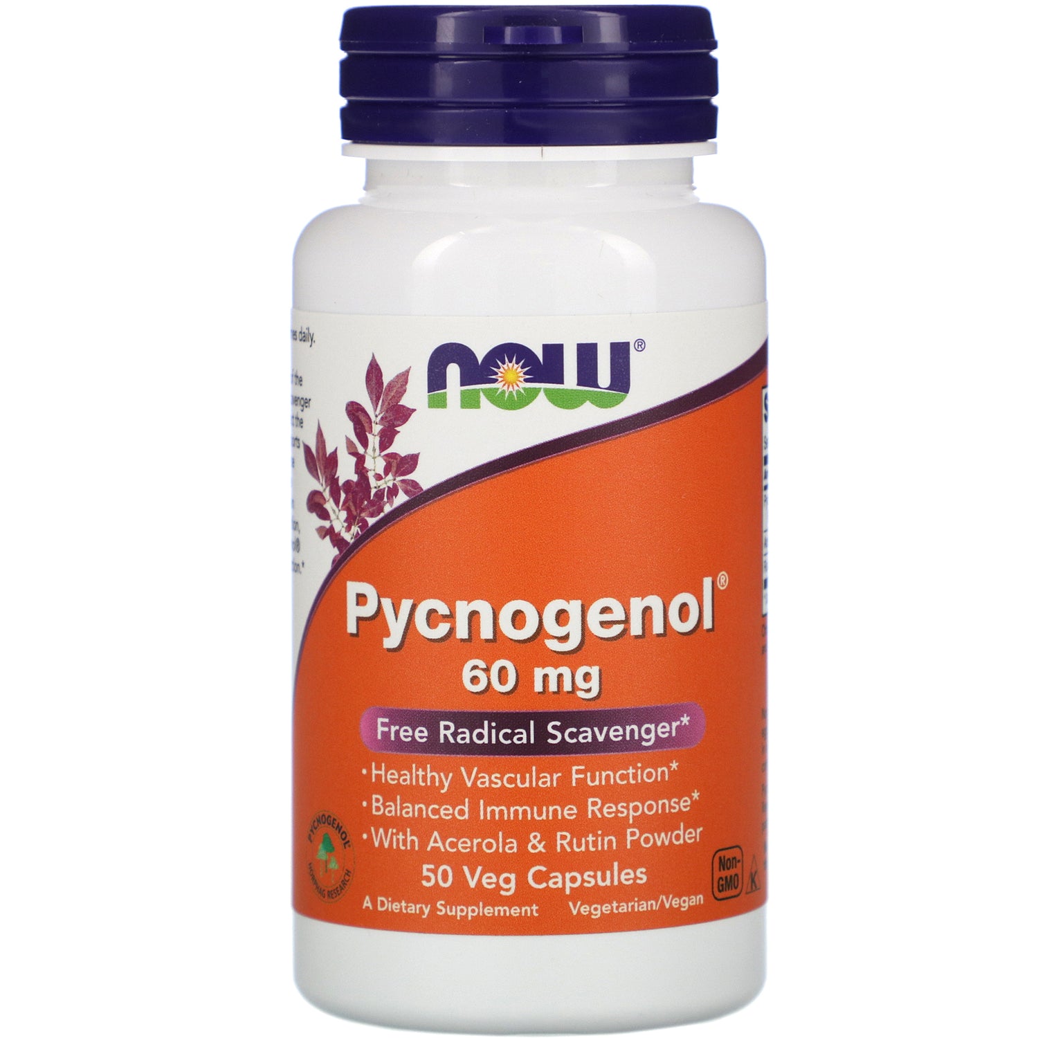 NOW PYCNOGENOL 60MG - E-Pharmacy Ghana